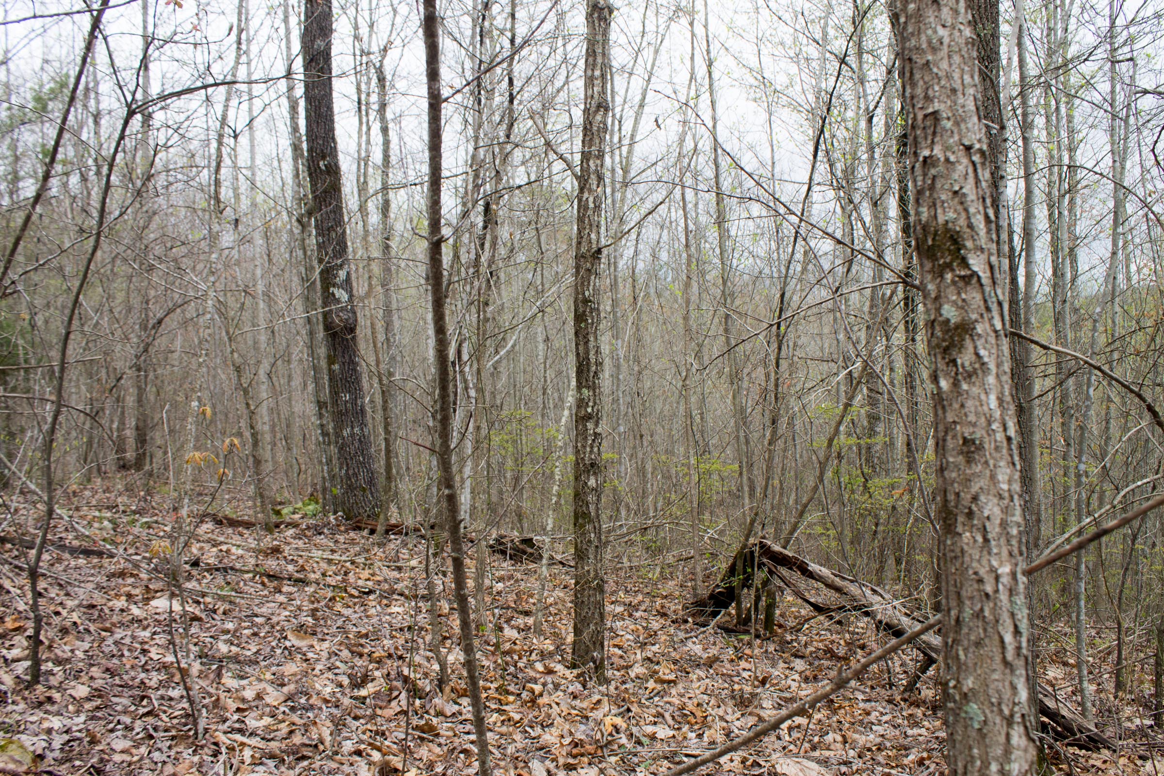 Tract 1 at Hidden Hills in Sequatchie County, Tennessee
