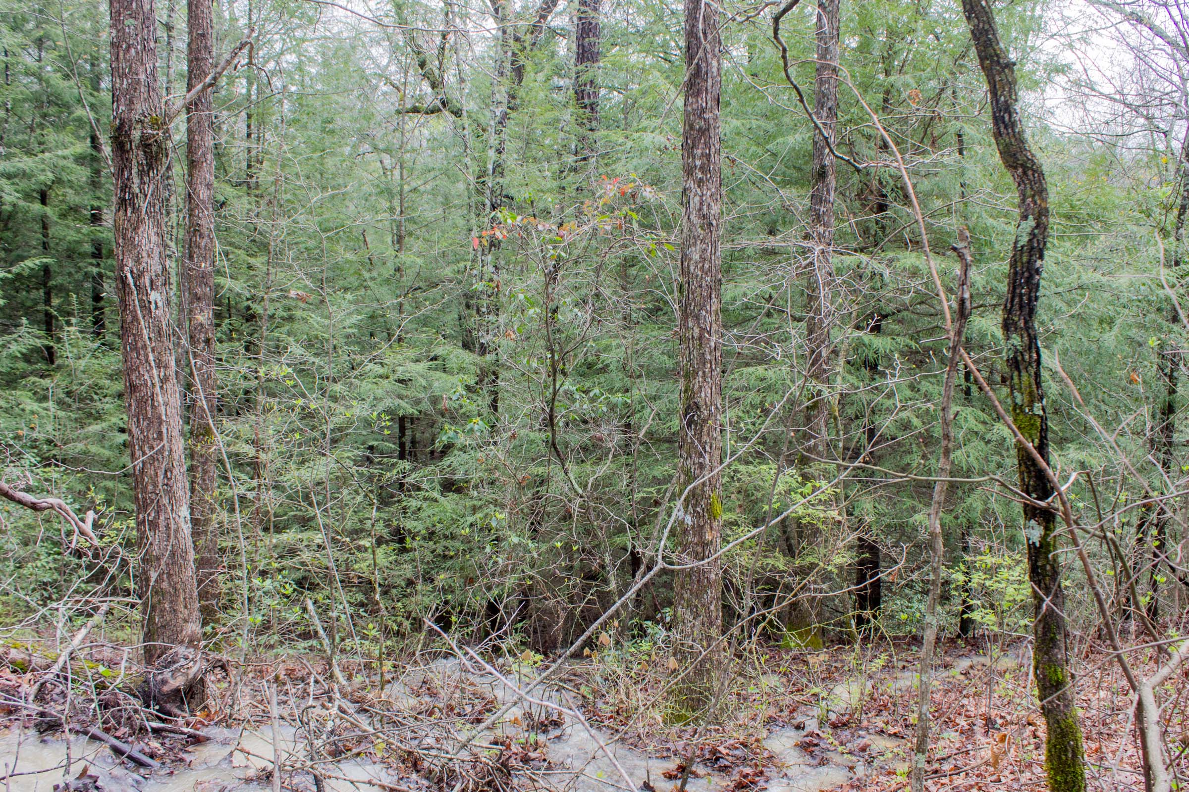 Tract 10 at Hidden Hills in Sequatchie County, Tennessee