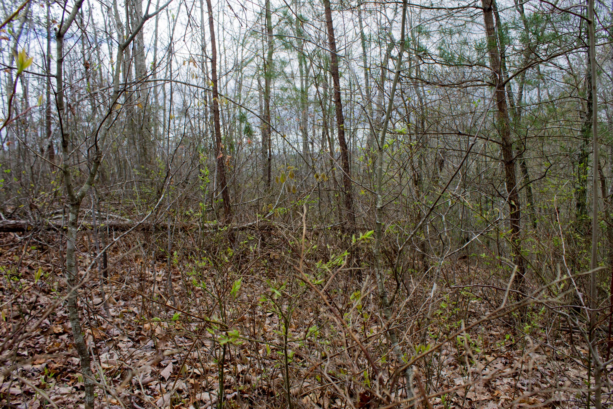 Tract 11 at Hidden Hills in Sequatchie County, Tennessee