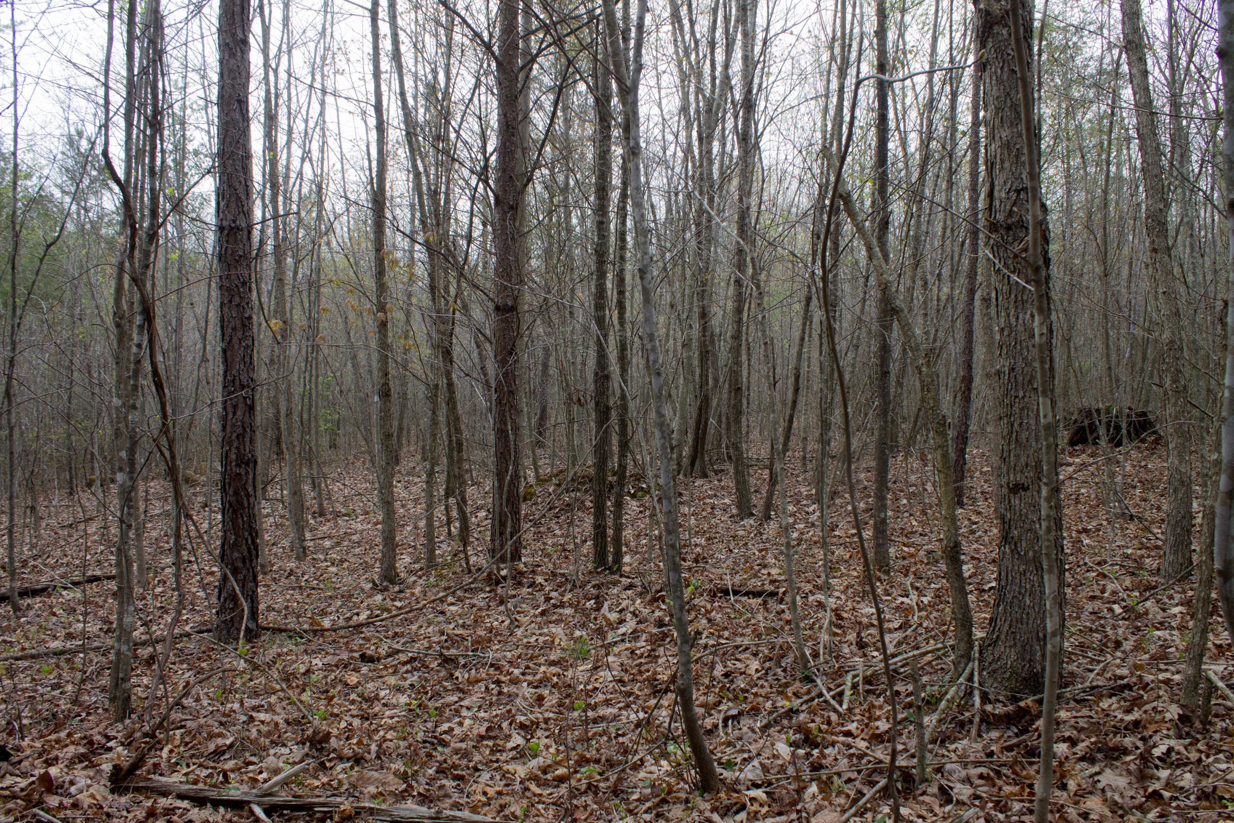 Tract 12 at Hidden Hills in Sequatchie County, Tennessee