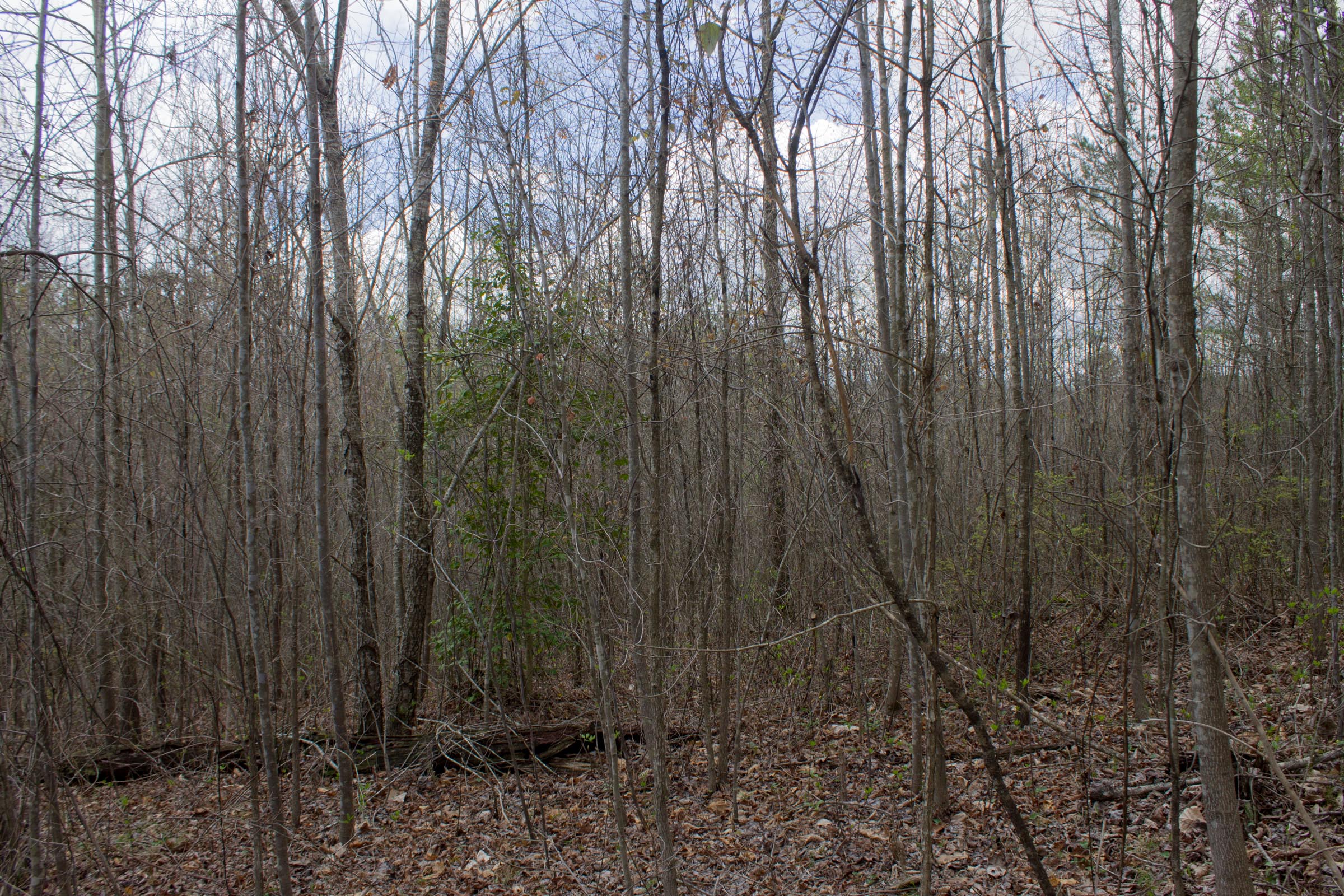 Tract 14 at Hidden Hills in Sequatchie County, Tennessee