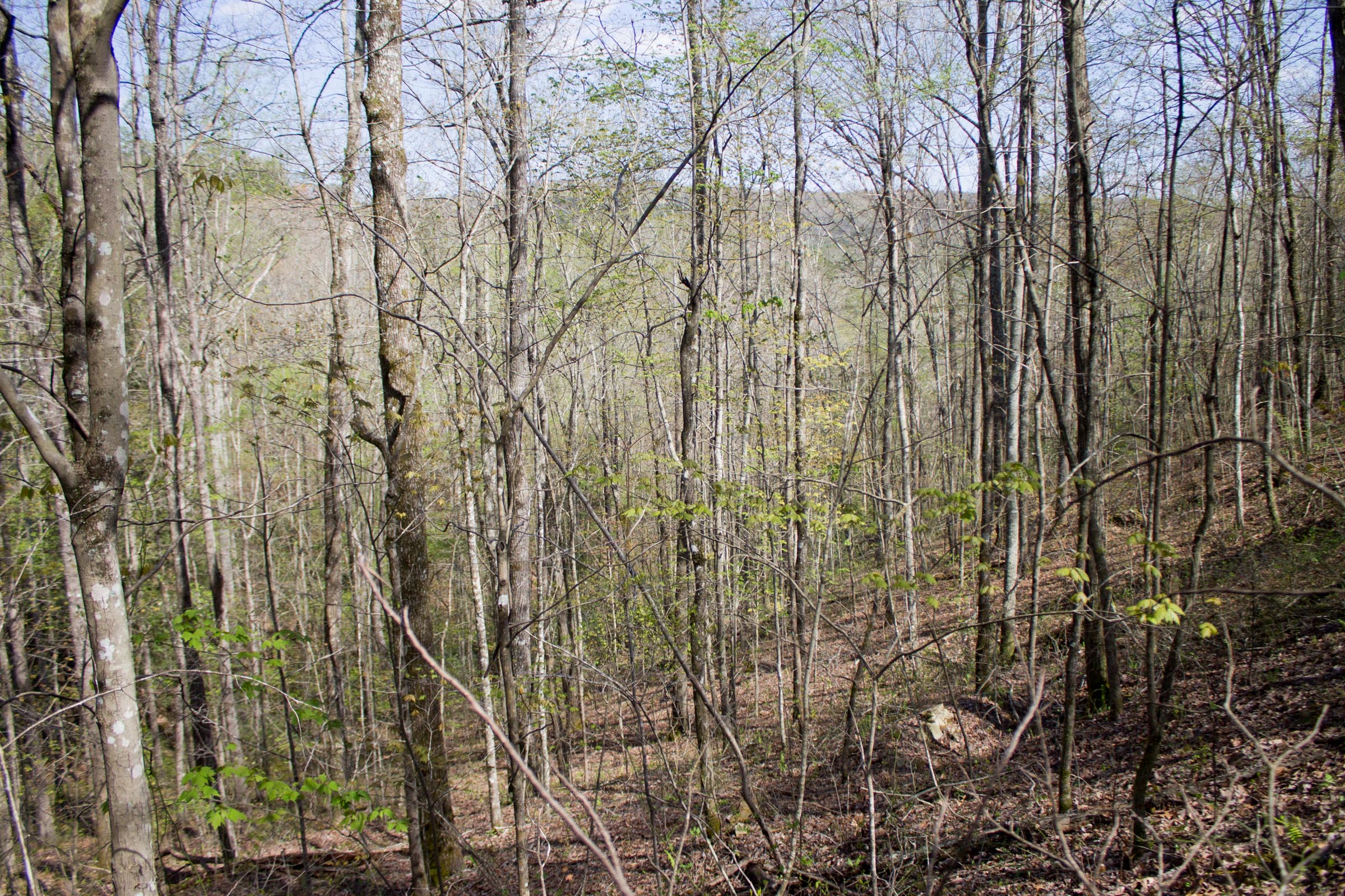 Tract 17 at Hidden Hills in Sequatchie County, Tennessee