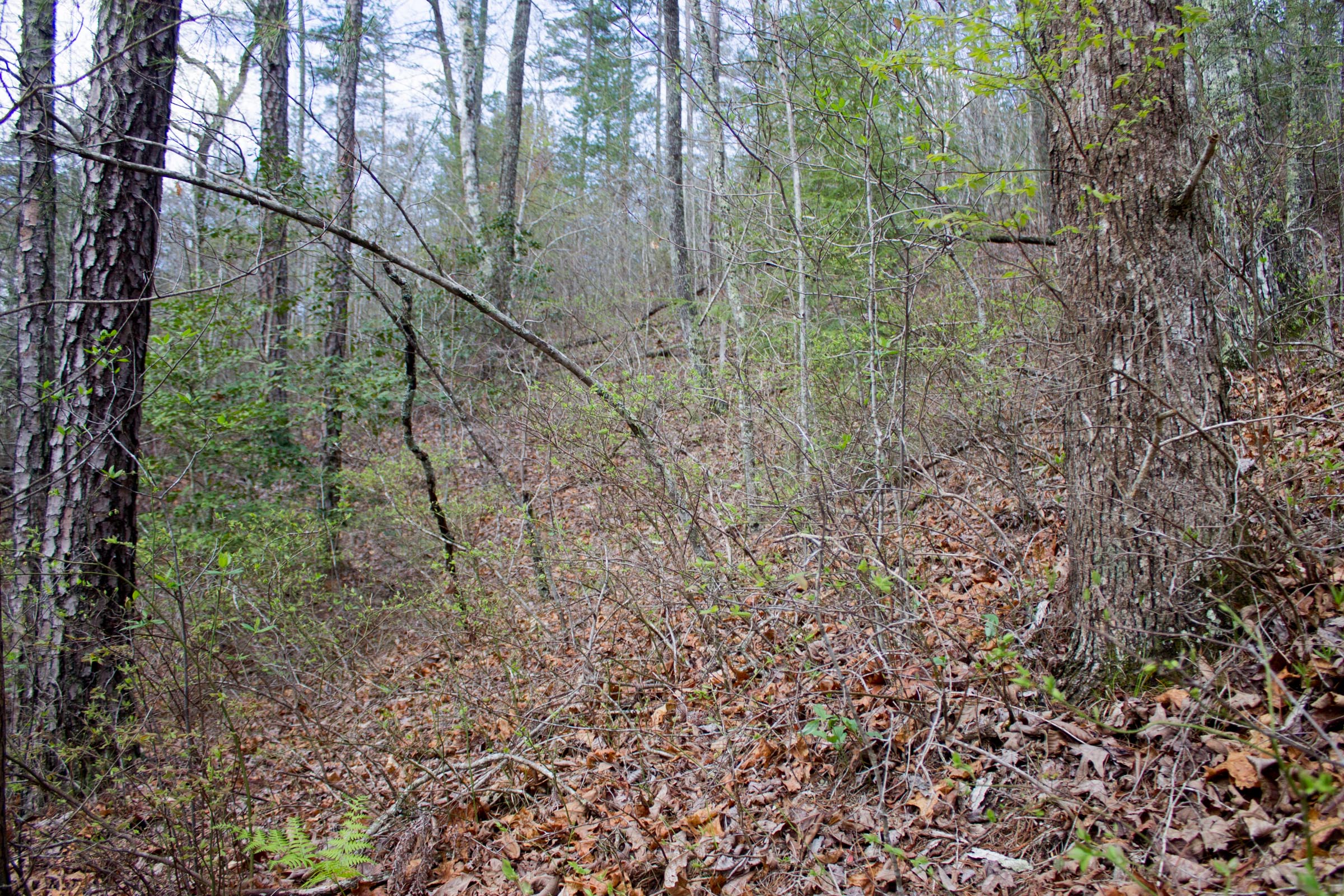 Tract 18 at Hidden Hills in Sequatchie County, Tennessee
