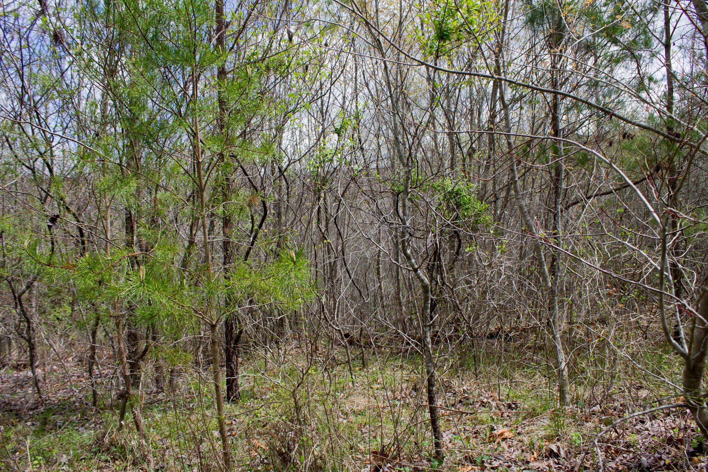 Tract 19 at Hidden Hills in Sequatchie County, Tennessee