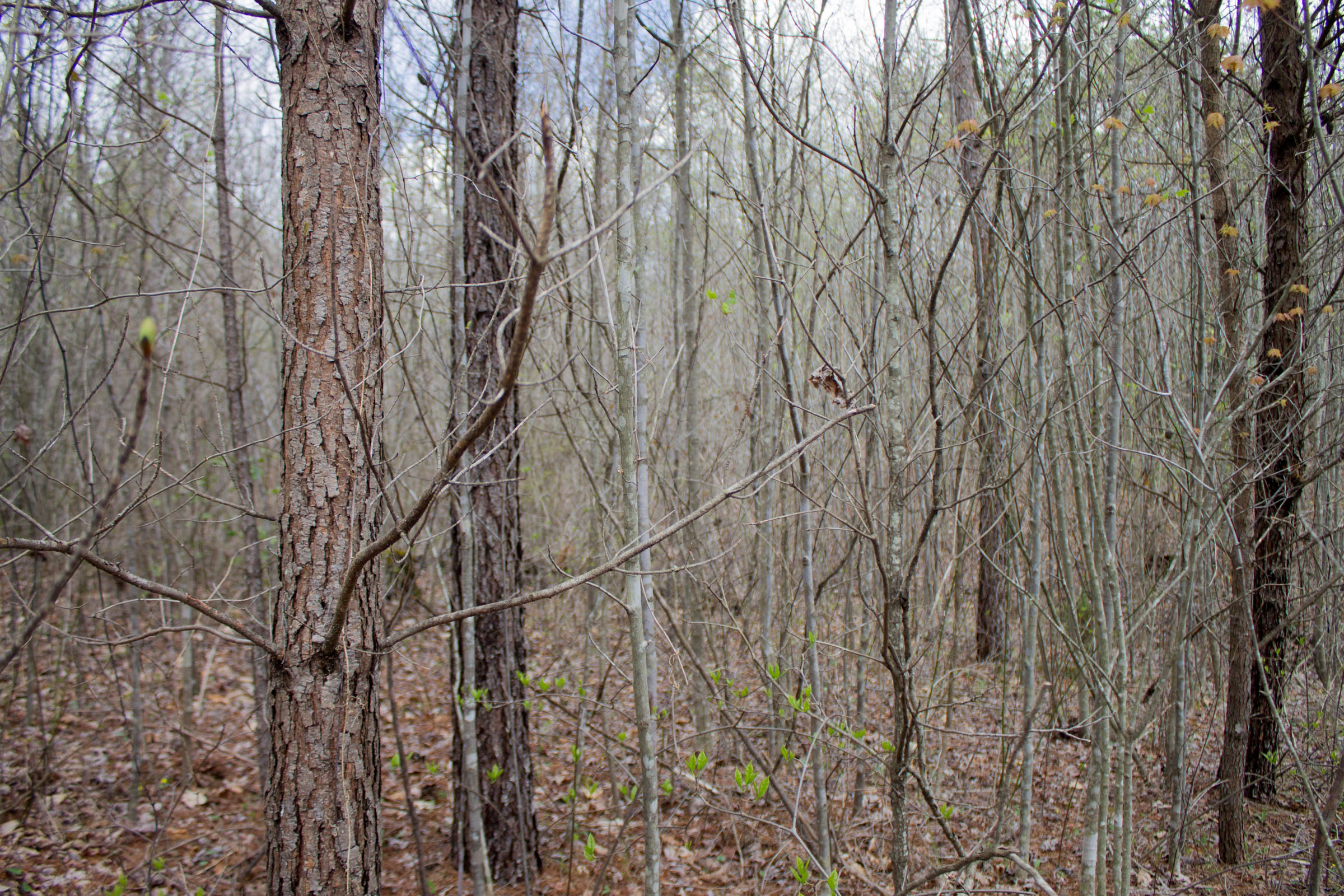 Tract 21 at Hidden Hills in Sequatchie County, Tennessee