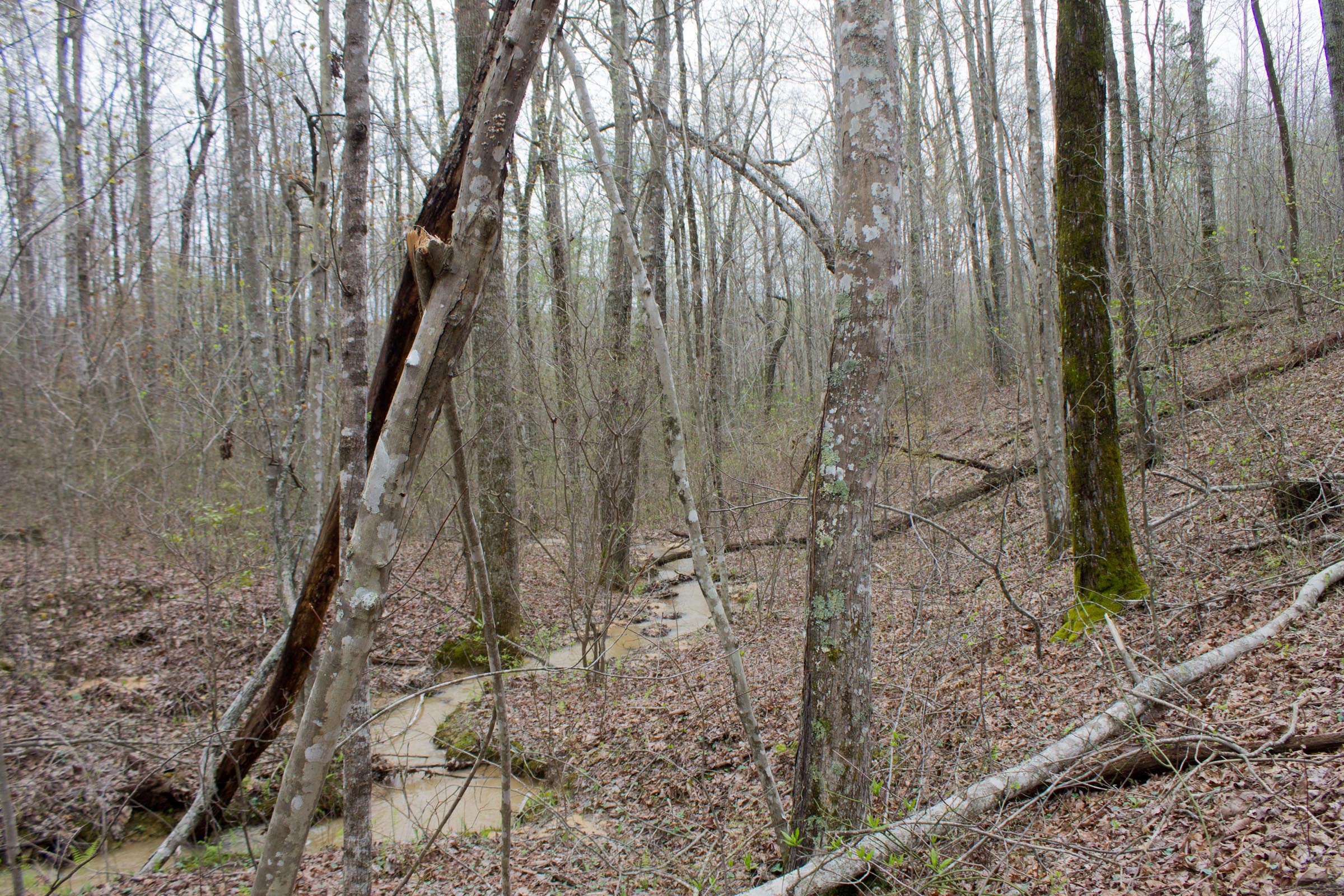 Tract 22 at Hidden Hills in Sequatchie County, Tennessee