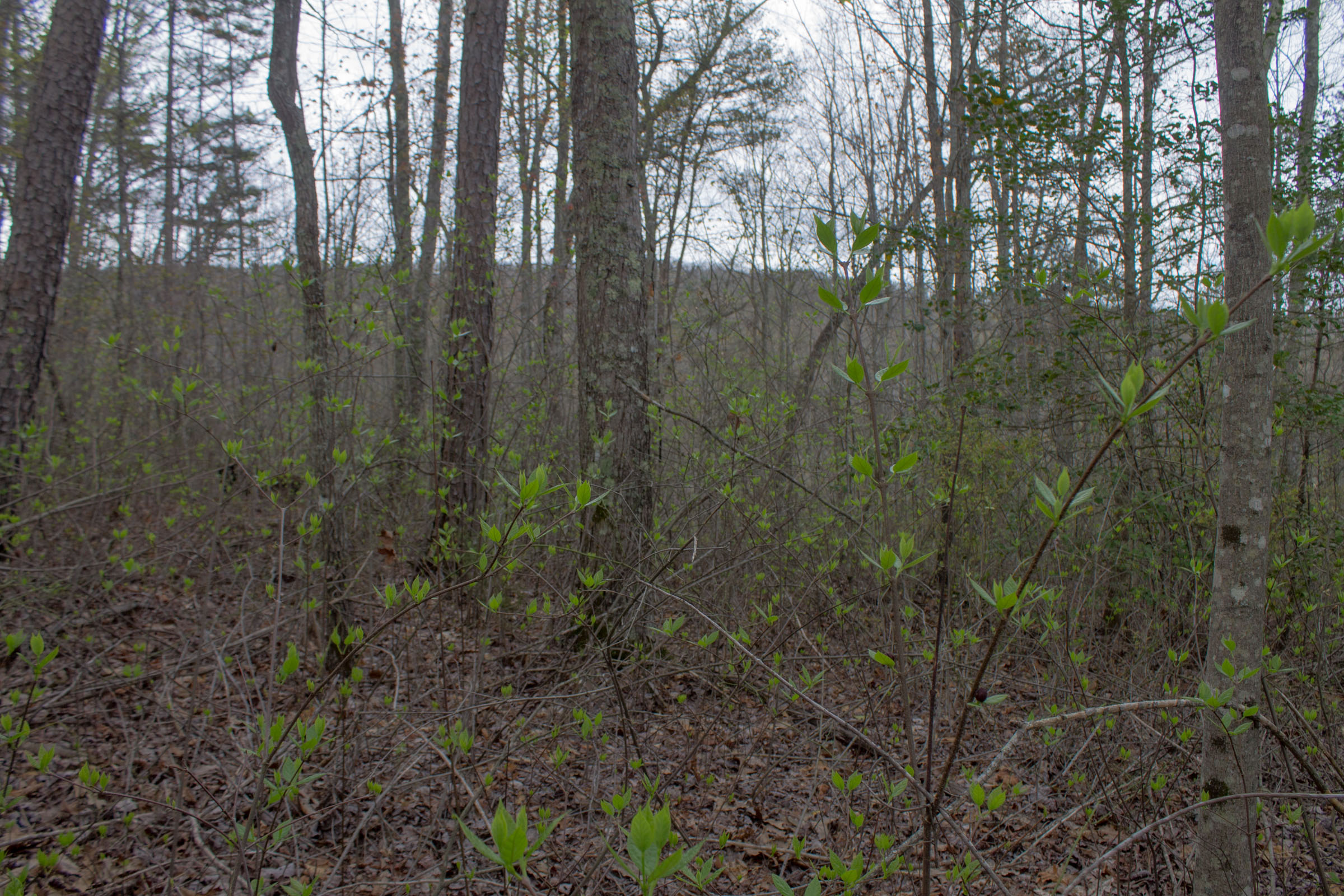 Tract 23 at Hidden Hills in Sequatchie County, Tennessee