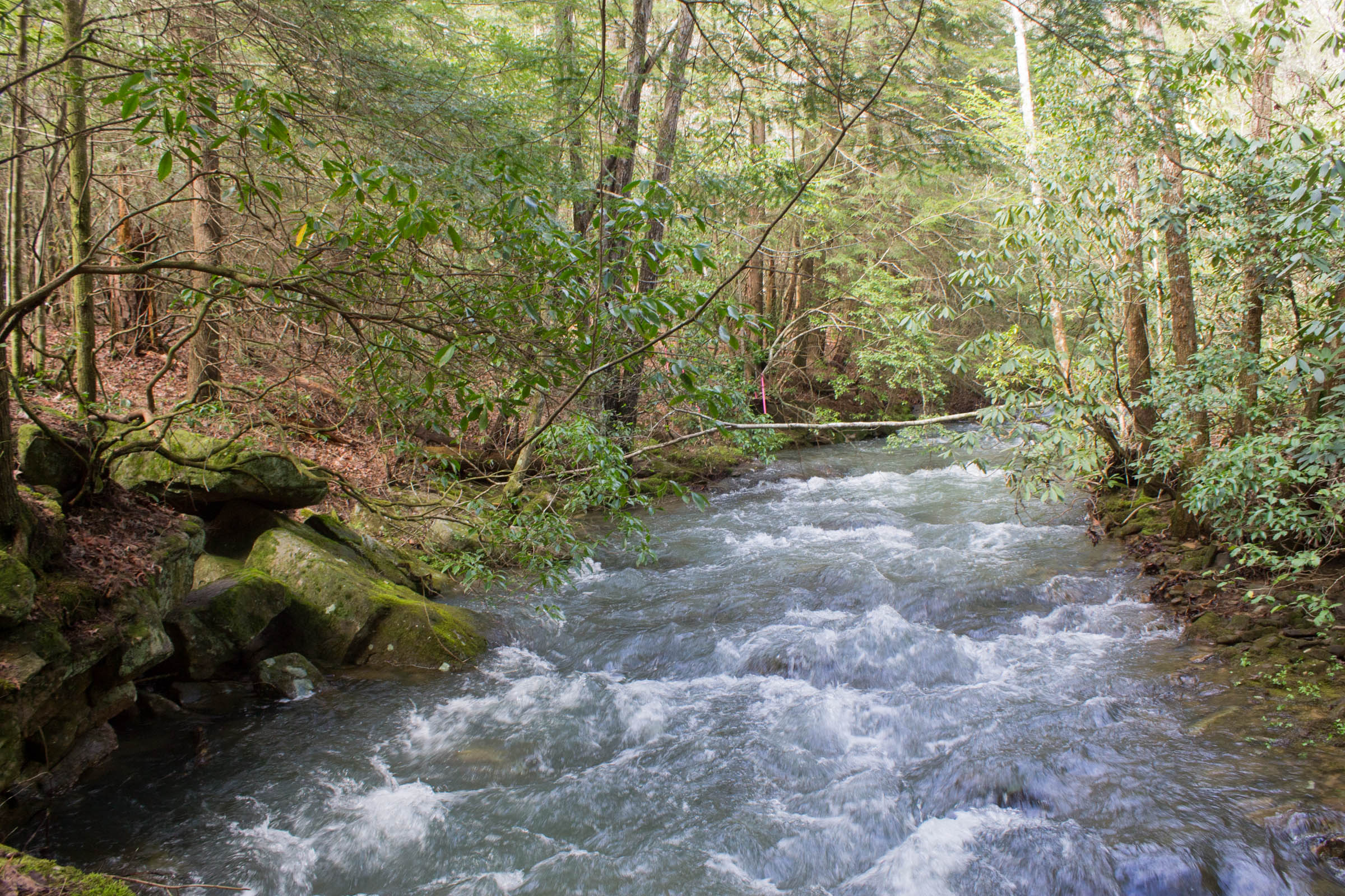Tract 25 at Hidden Hills in Sequatchie County, Tennessee