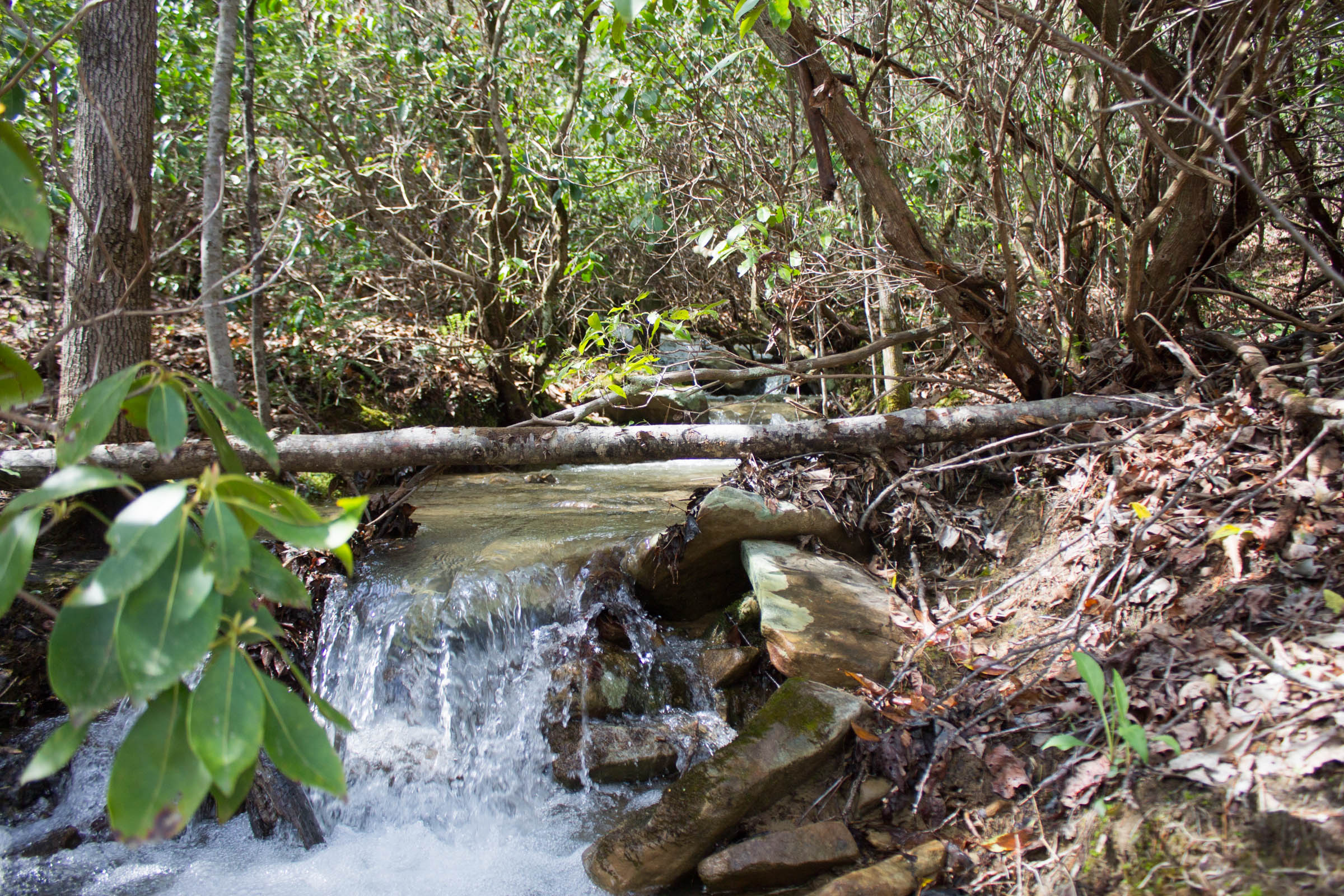 Tract 26 at Hidden Hills in Sequatchie County, Tennessee