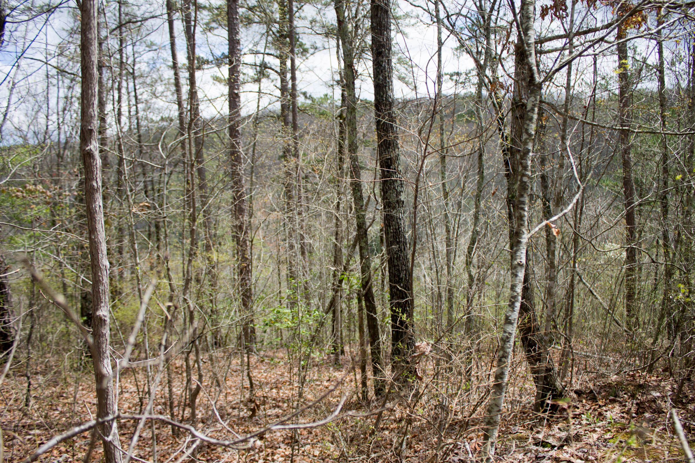 Tract 27 at Hidden Hills in Sequatchie County, Tennessee