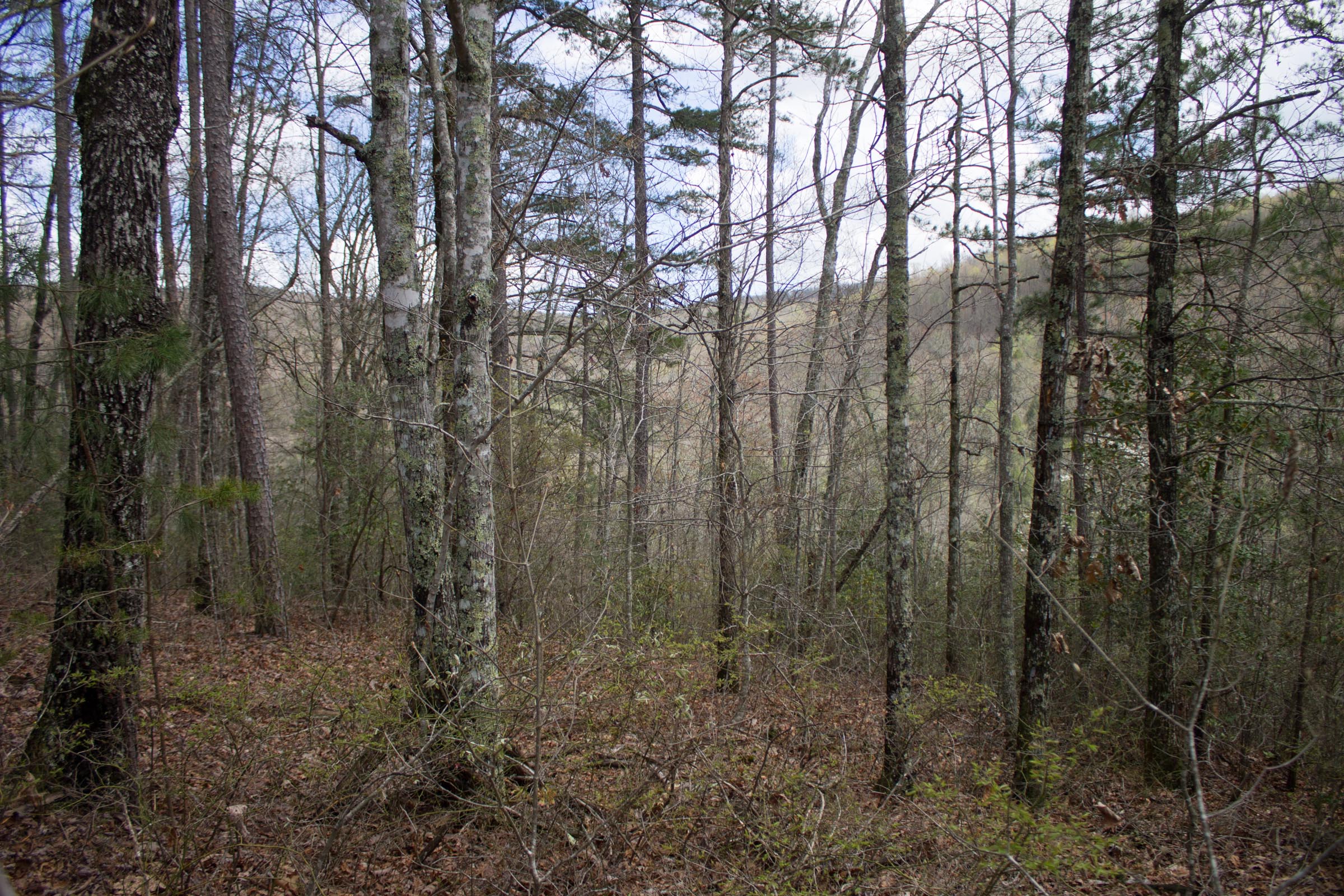 Tract 28 at Hidden Hills in Sequatchie County, Tennessee