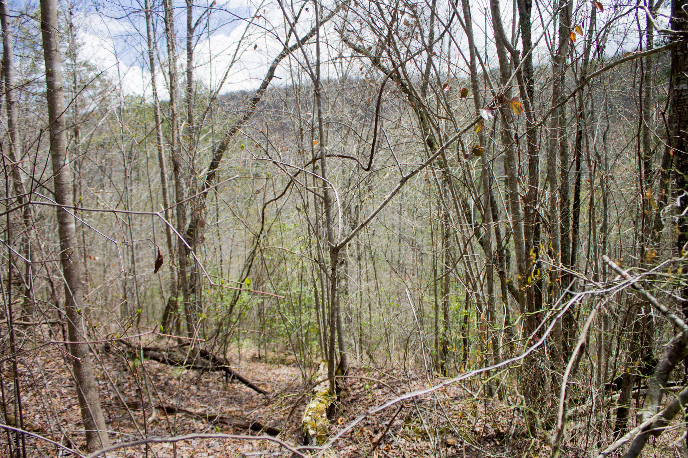Tract 29 at Hidden Hills in Sequatchie County, Tennessee