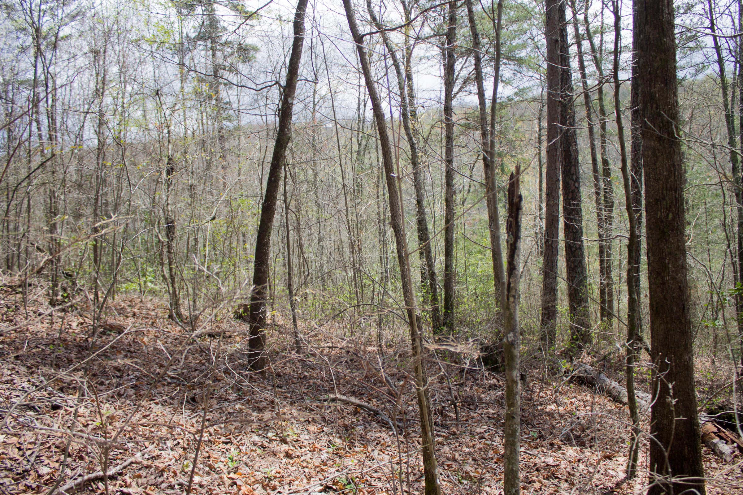 Tract 30 at Hidden Hills in Sequatchie County, Tennessee
