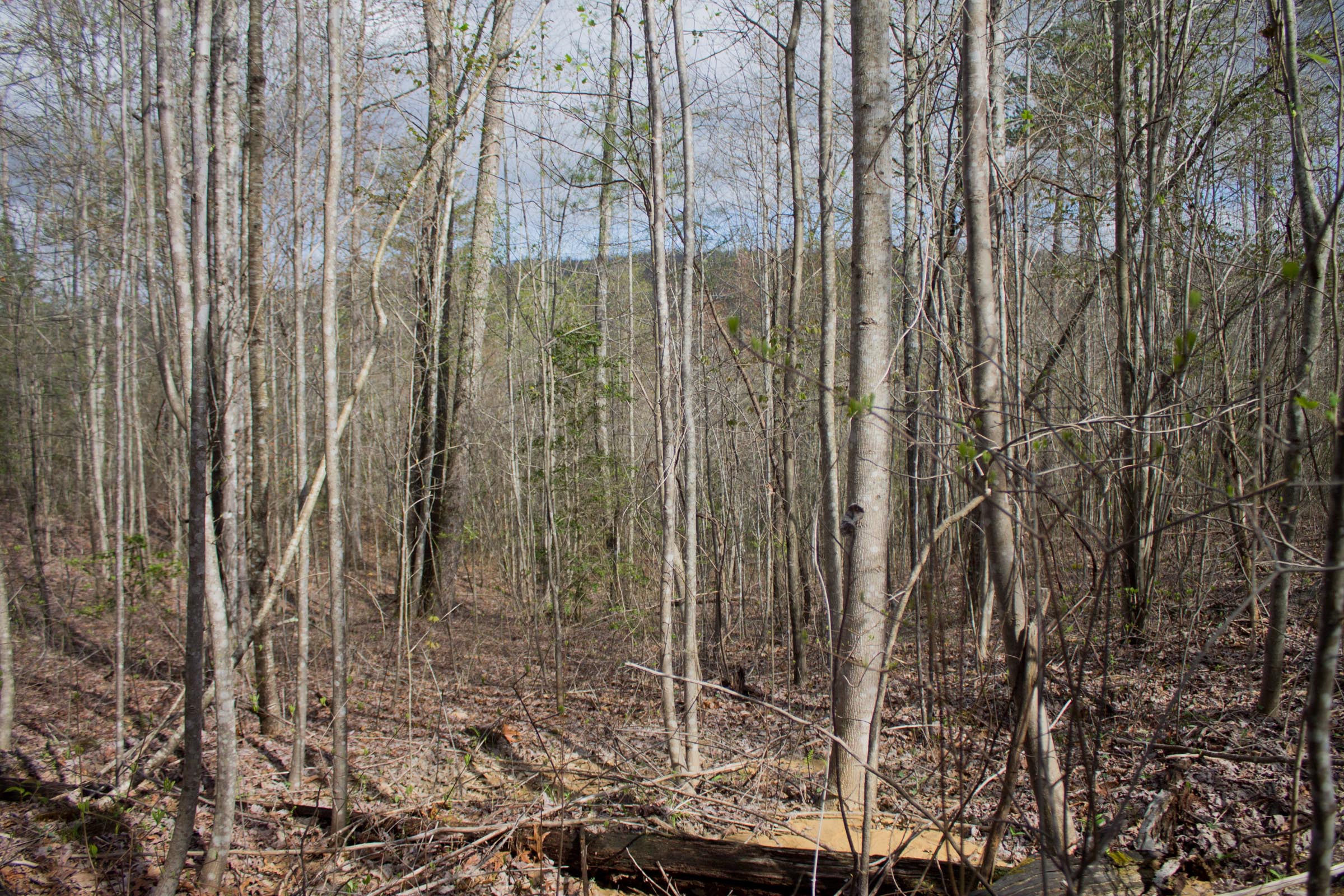Tract 32 at Hidden Hills in Sequatchie County, Tennessee