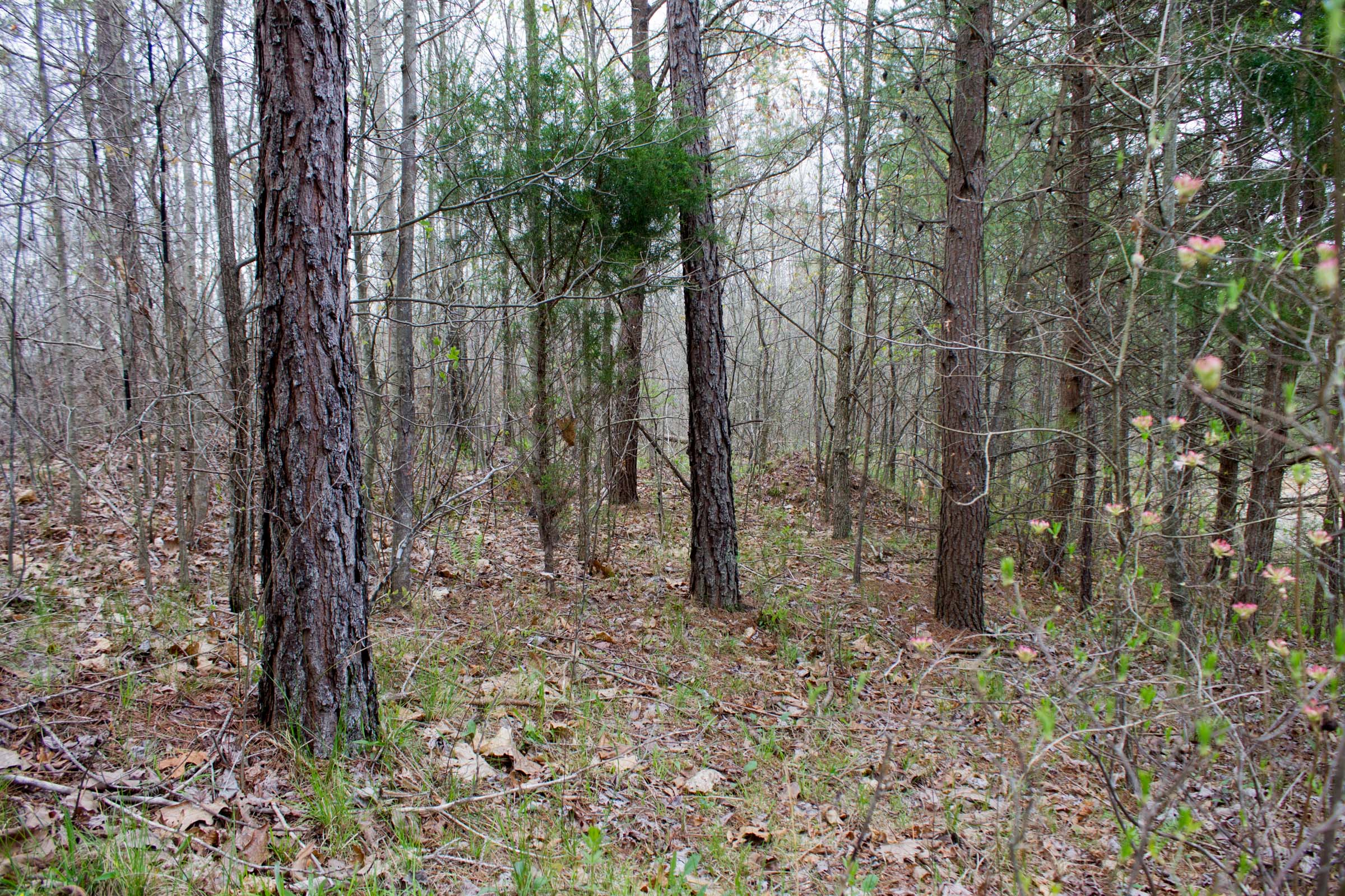 Tract 35 at Hidden Hills in Sequatchie County, Tennessee
