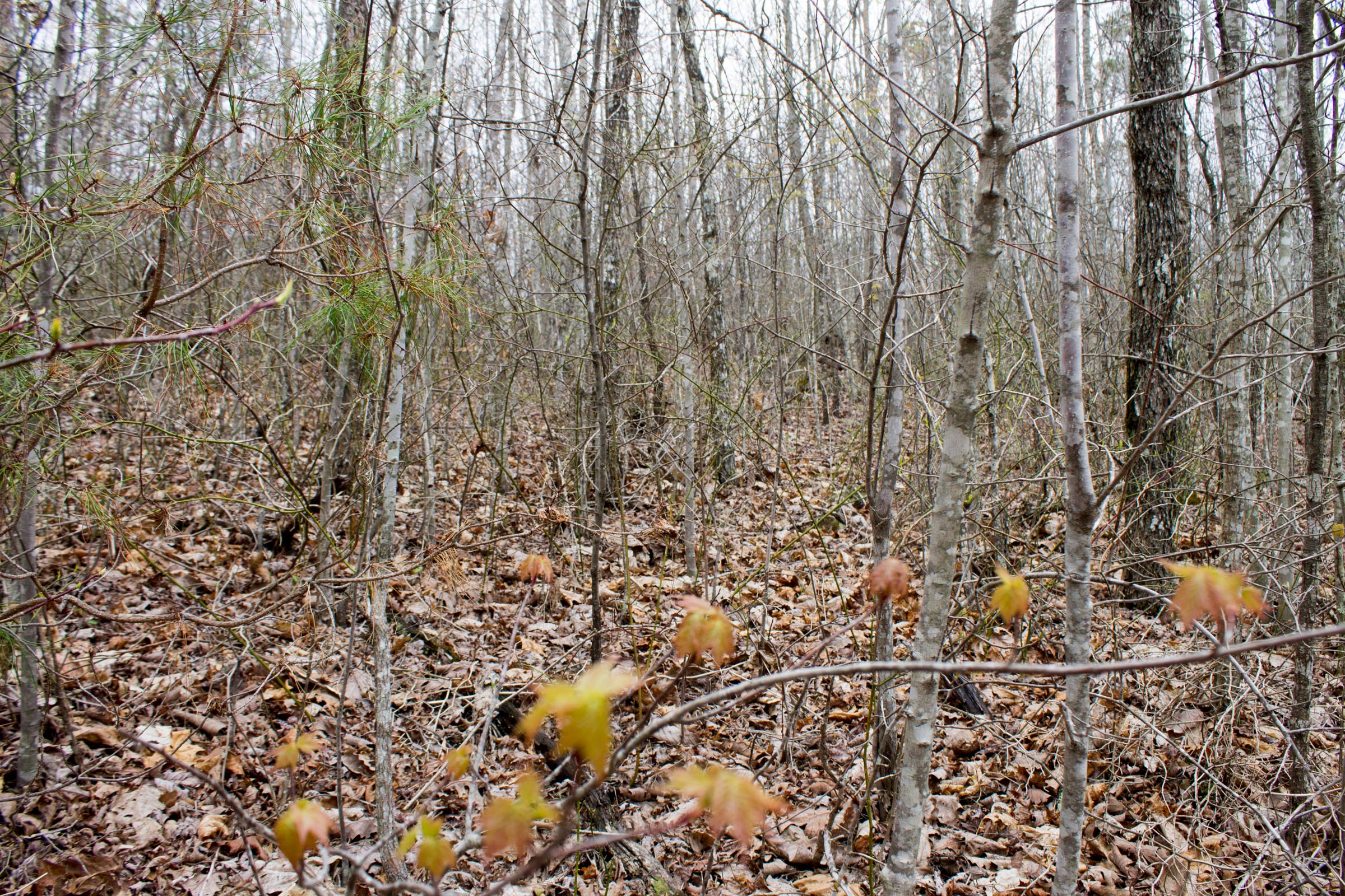 Tract 37 at Hidden Hills in Sequatchie County, Tennessee