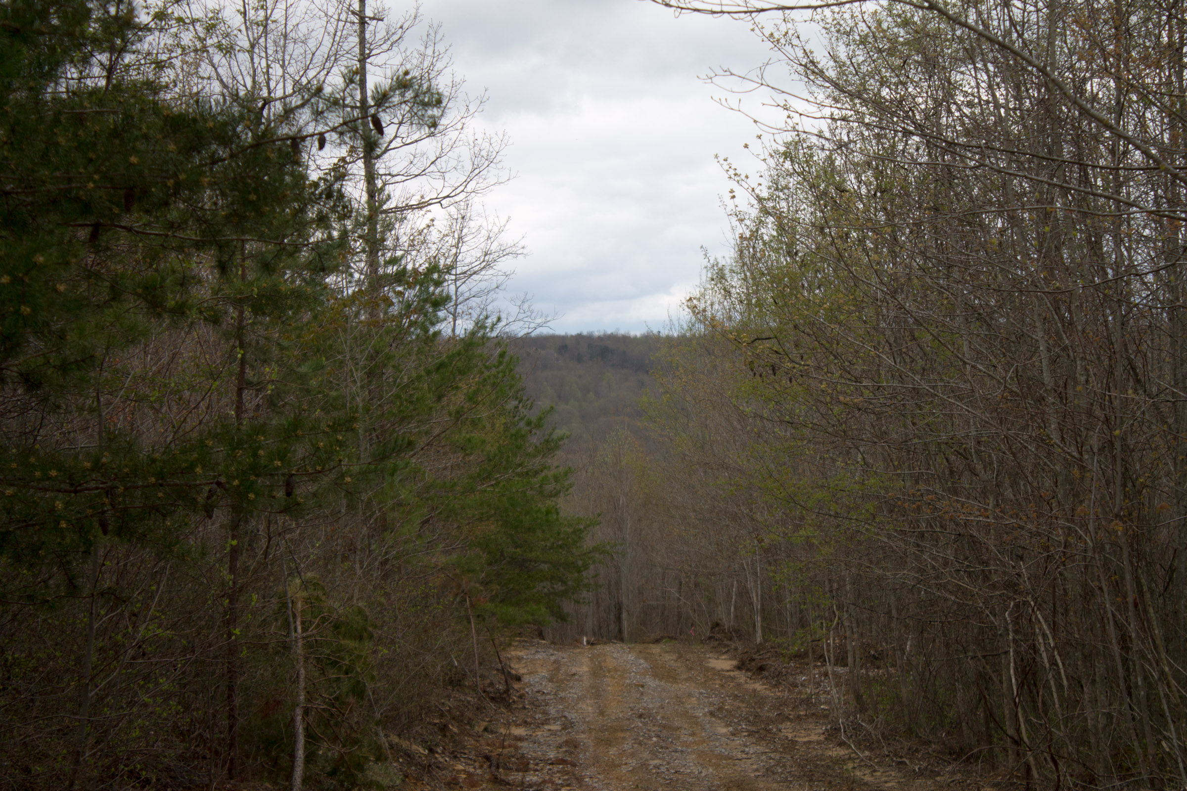 Tract 38 at Hidden Hills in Sequatchie County, Tennessee