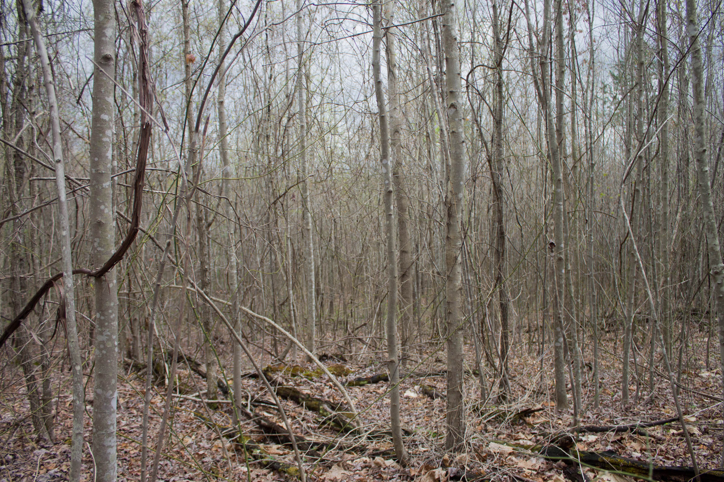 Tract 40 at Hidden Hills in Sequatchie County, Tennessee