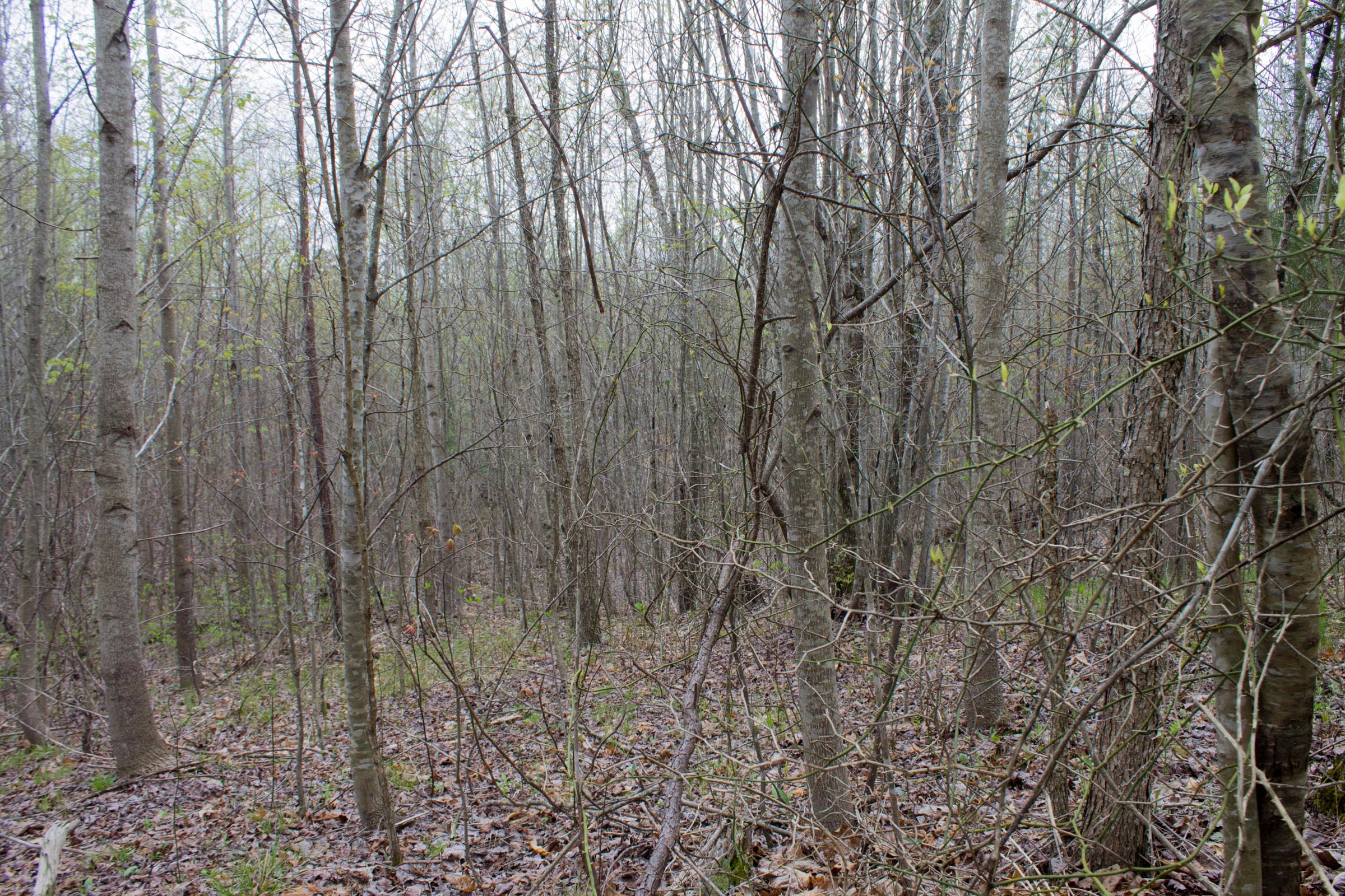 Tract 42 at Hidden Hills in Sequatchie County, Tennessee