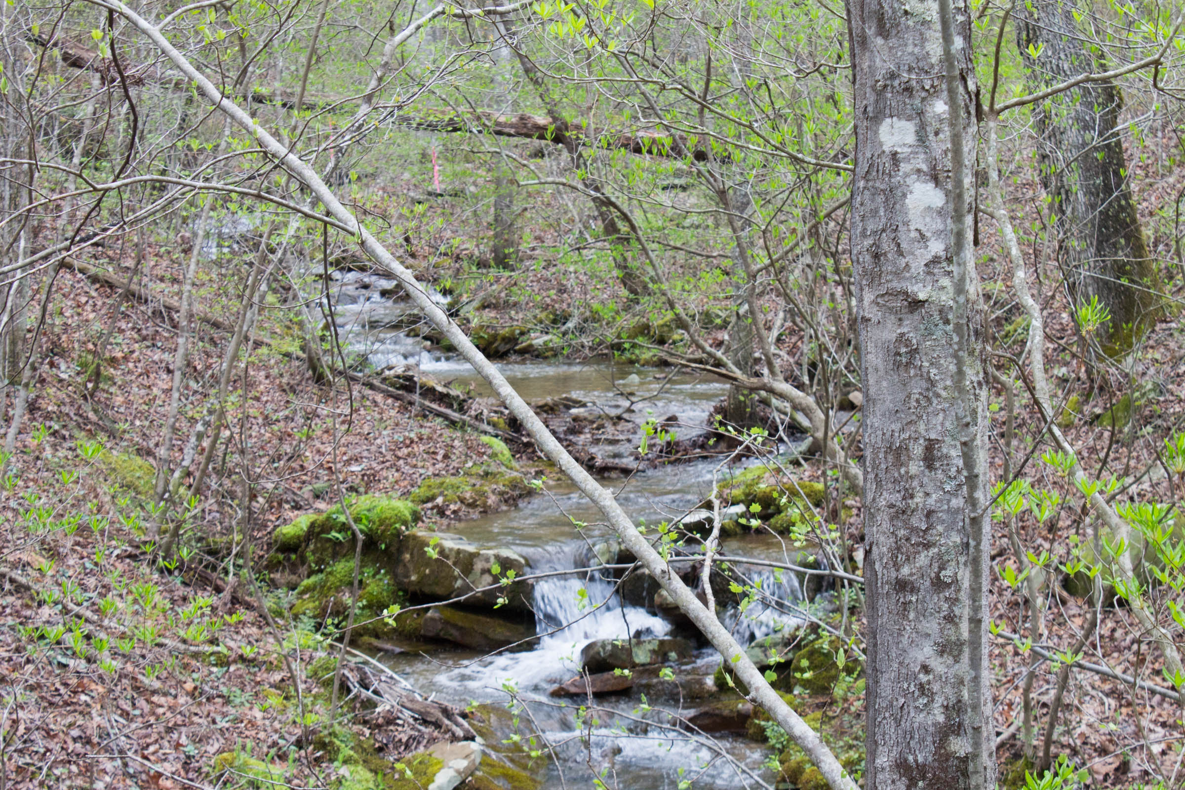 Tract 46 at Hidden Hills in Sequatchie County, Tennessee