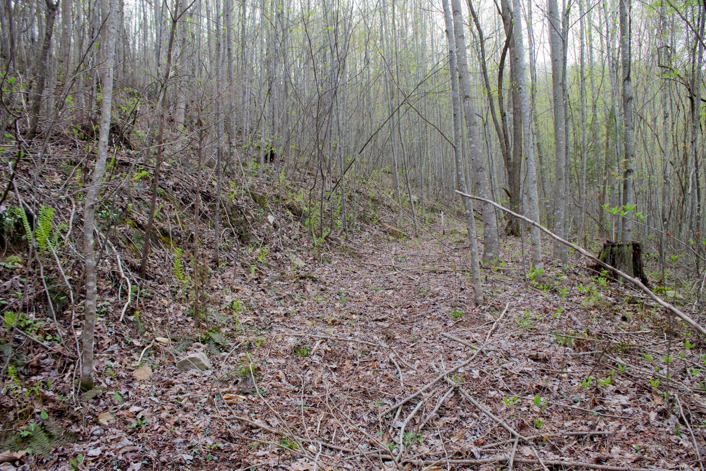 Tract 47 at Hidden Hills in Sequatchie County, Tennessee