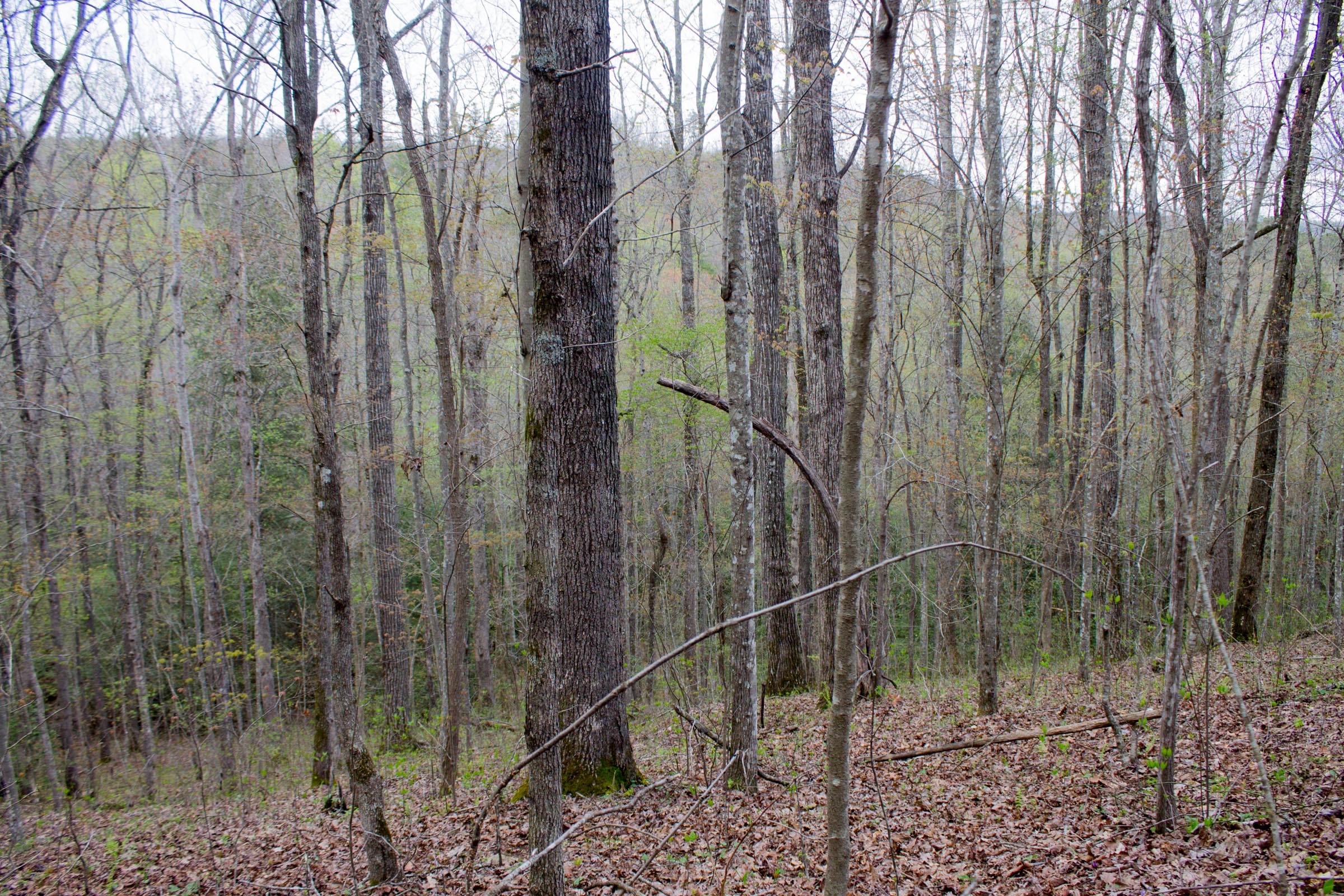 Tract 48 at Hidden Hills in Sequatchie County, Tennessee