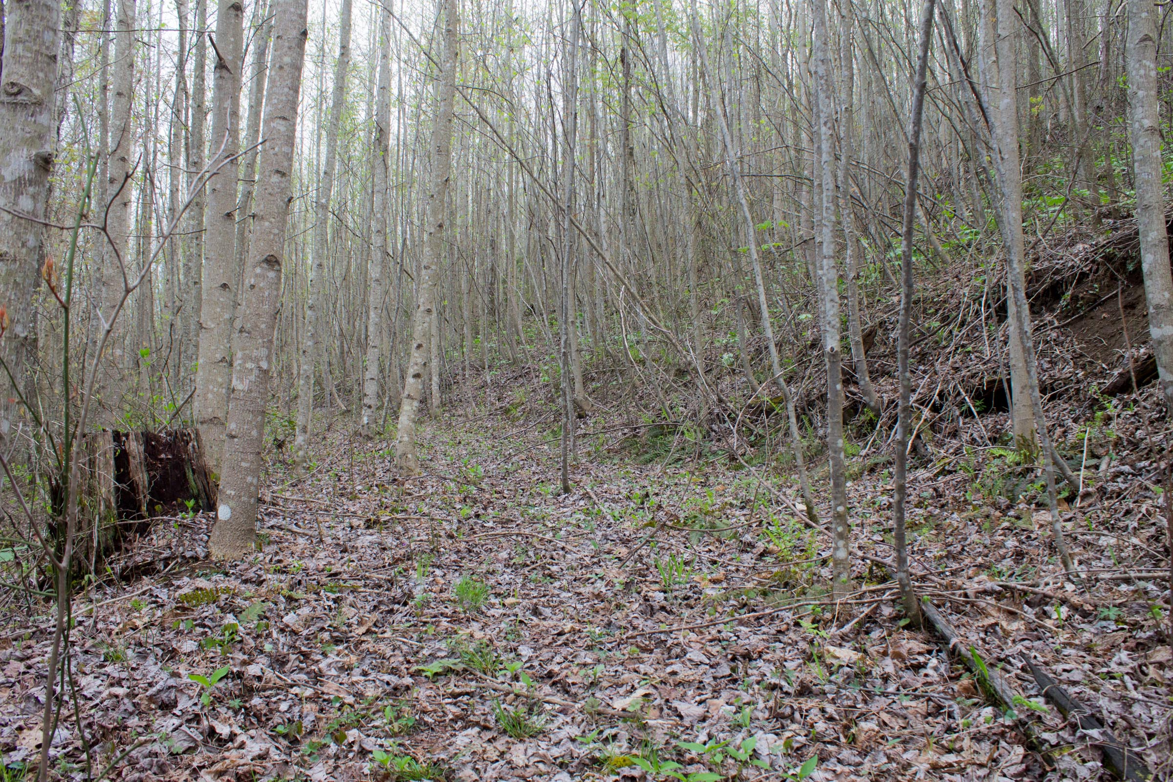 Tract 49 at Hidden Hills in Sequatchie County, Tennessee