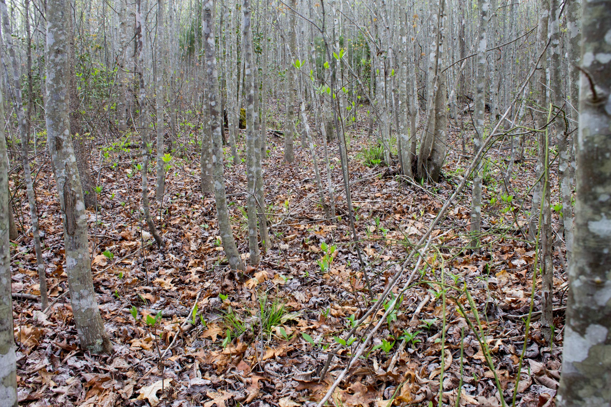 Tract 51 at Hidden Hills in Sequatchie County, Tennessee
