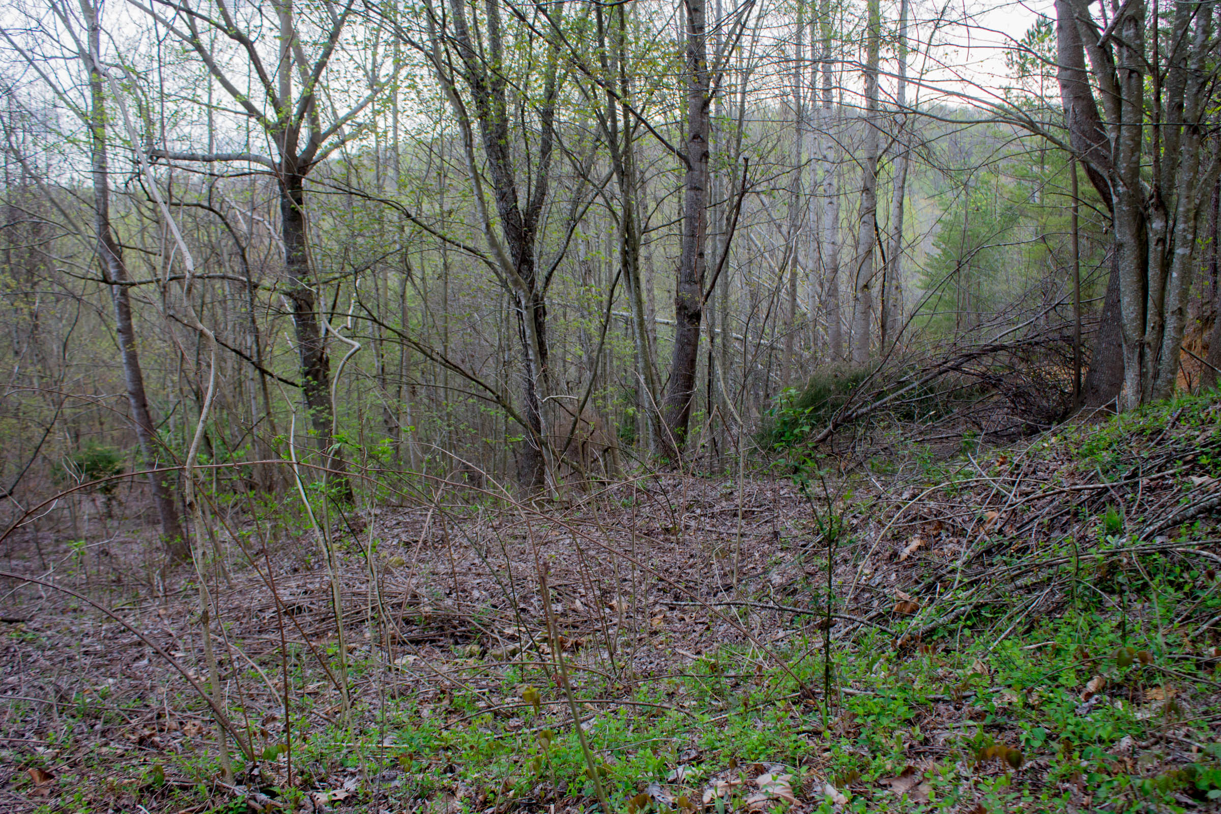Tract 52 at Hidden Hills in Sequatchie County, Tennessee