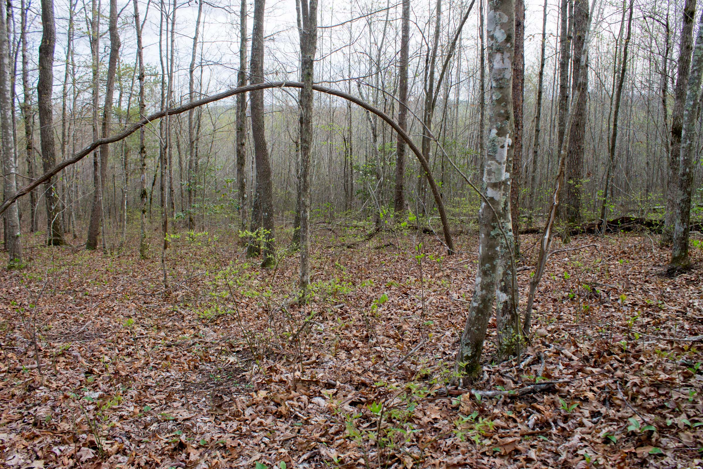Tract 53 at Hidden Hills in Sequatchie County, Tennessee