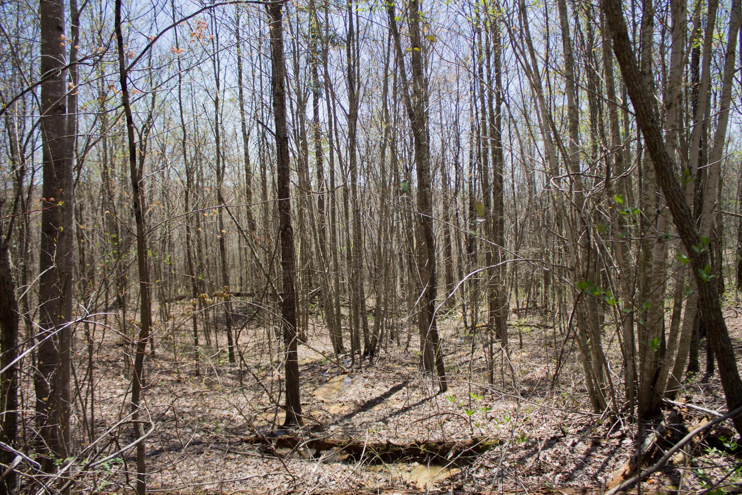Tract 7 at Hidden Hills in Sequatchie County, Tennessee
